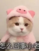 实亿国际官方会员登录 10/3(月) Dステーション上田店 スロット差枚データ詳細 – みんレポ