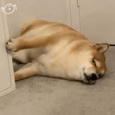 亚投国际登录全站登录 当時自分が立てた韓国最高記録(48秒94)と1秒ほどしか差が出ない良い成績を出した